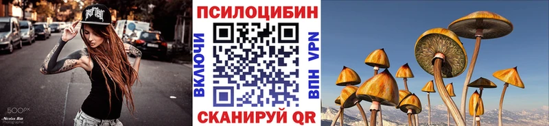 Галлюциногенные грибы Psilocybine cubensis  omg tor  Донской 