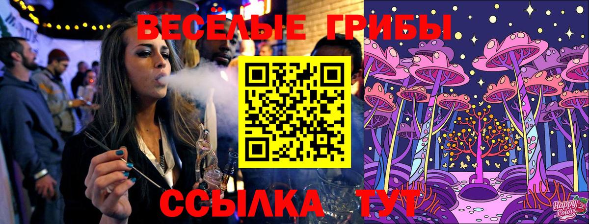 Псилоцибиновые грибы Cubensis  Донской 