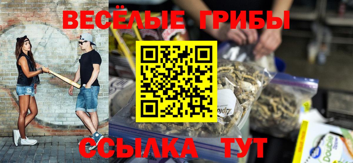 Псилоцибиновые грибы мухоморы Донской