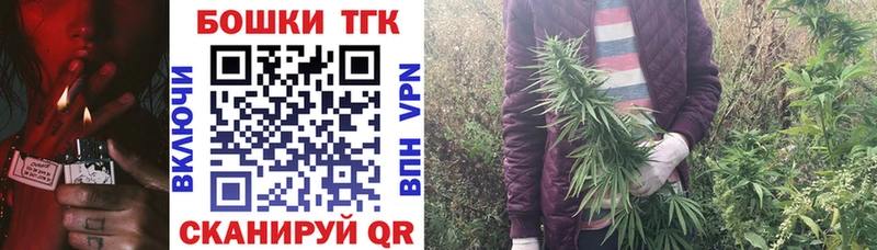 Шишки марихуана планчик  Донской 